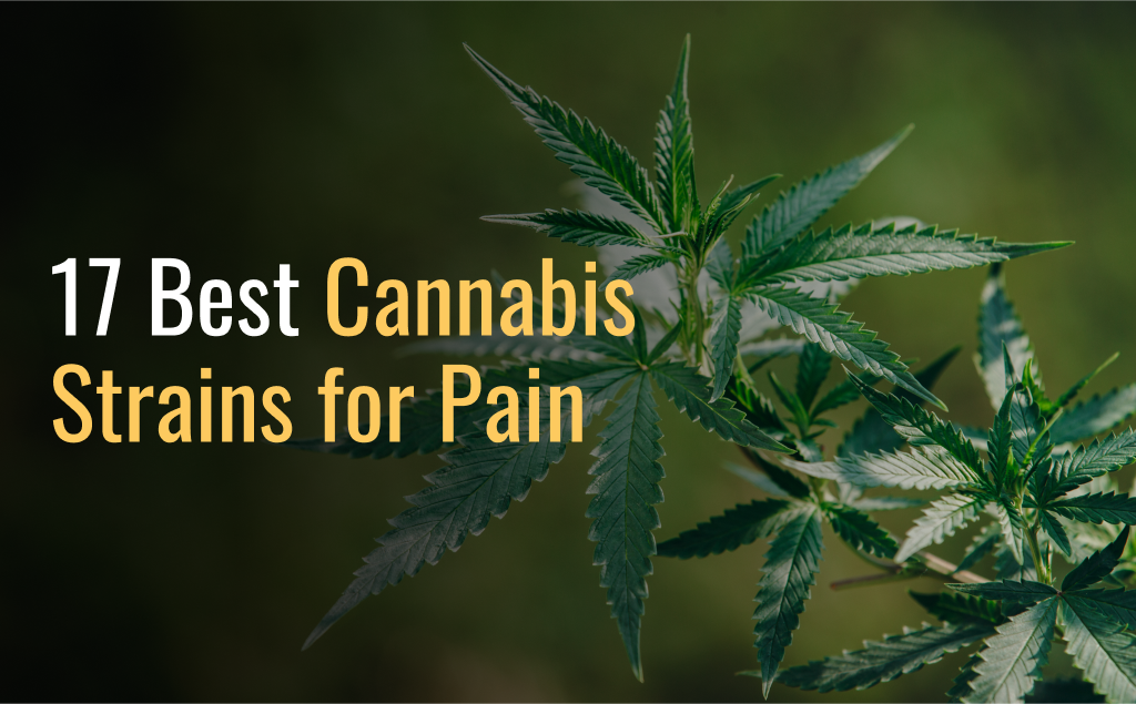 best weed strains for pain relief