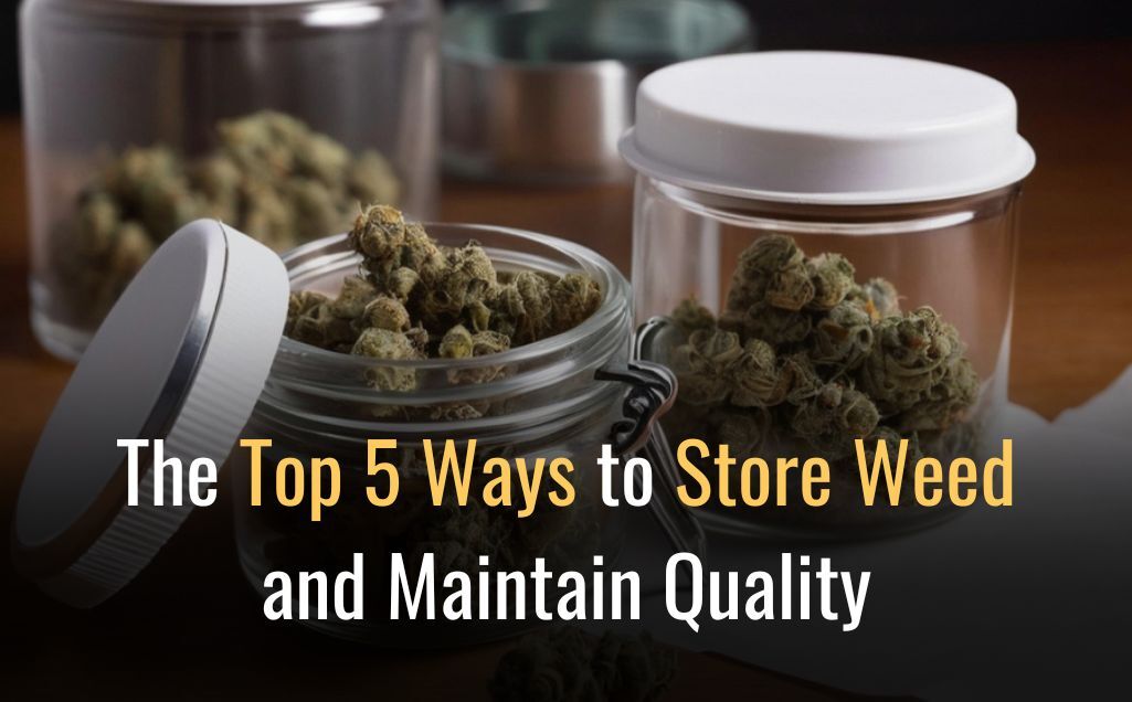 best ways to store weed and keep your cannabis fresh